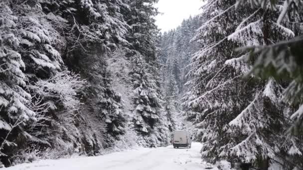 A car that delivers goods on a winter road in a snowy forest. Delivery of goods at any time — Wideo stockowe
