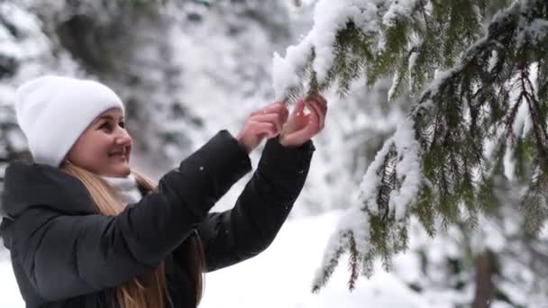 Όμορφη κοπέλα κουνάει το χιόνι από ένα κλαδί δέντρου, είναι χαρούμενη και χαμογελαστή, παίζει με το χιόνι — Αρχείο Βίντεο