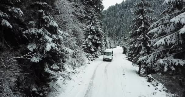 The car drives through the winter snowy forest top view. A snowy road passes through a forest i — Wideo stockowe