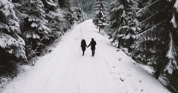 Туристы отдыхают в зимнем лесу, прогуливаются, наслаждаясь прекрасным видом на горы. — стоковое видео