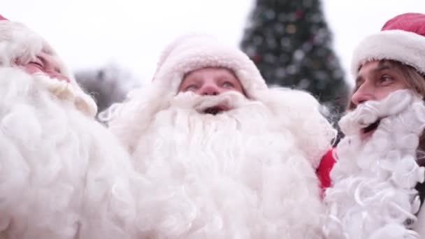 Drei Weihnachtsmänner auf dem Hintergrund des Weihnachtsbaums, sie blicken in die Kamera — Stockvideo