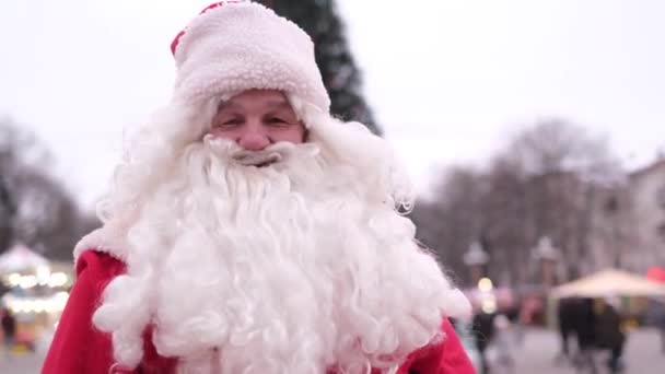 Lächelnder Weihnachtsmann zeigt Daumen hoch, Zeichen-Geste auf Weihnachtsbaum-Hintergrund — Stockvideo