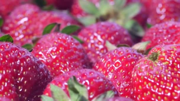 Background of juicy red strawberries, slow motion camera, rotating strawberries — Stock Video