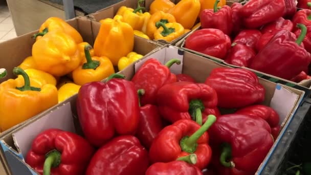 Red peppers in the basket — Stock Video