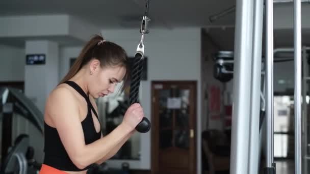 Atlético jovem treina músculos do braço na academia, bela mulher esporte estilo de vida. — Vídeo de Stock