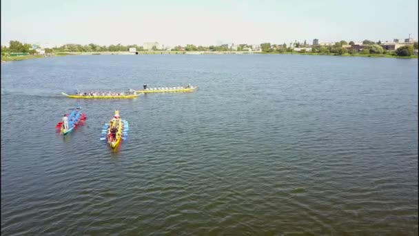 Close up of a mens rowing team at the beginning of their race. — Stock Video