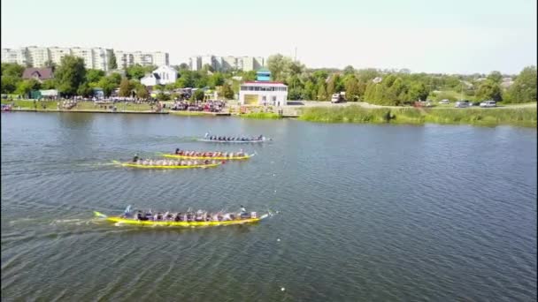 Close up of a mens rowing team at the beginning of their race. — Stock Video