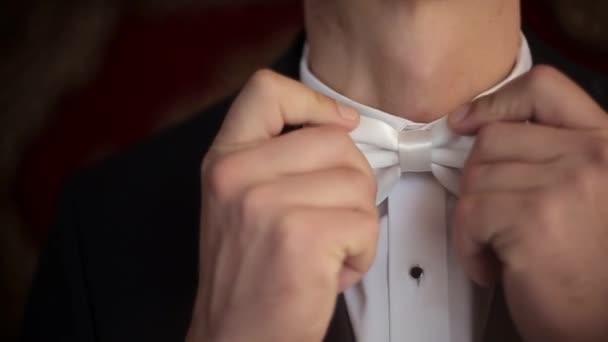 Mens black and white necktie — Stock Video