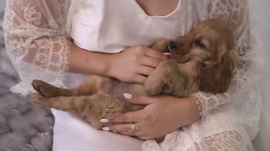 Açık oturan genç köpek yavrusu safkan İngiliz yavru