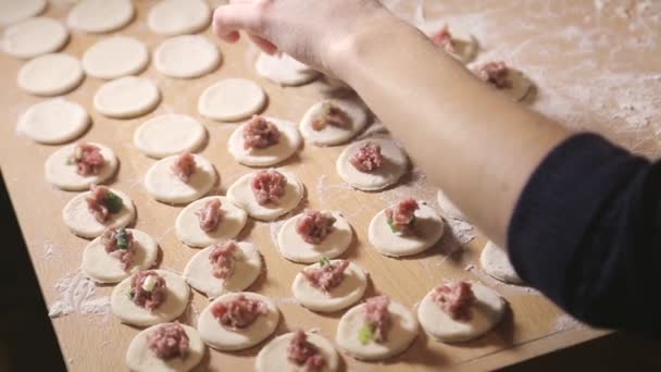 The girl makes dough and meat of dumplings — Vídeo de stock