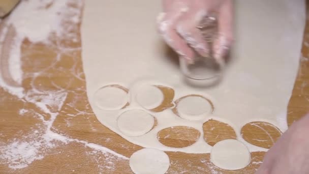 La fille fait de la pâte et de la viande de boulettes — Video