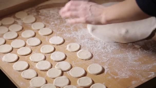 The girl makes dough and meat of dumplings — Vídeo de stock