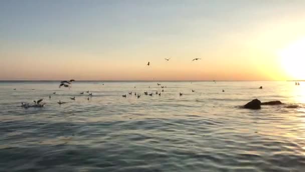 Sonnenuntergang über dem Atlantik. Florida, Vereinigte Staaten — Stockvideo