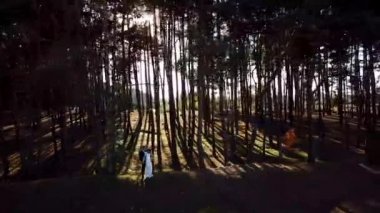 Vurgulama dron doğada düğün çift fotoğraf çekmek