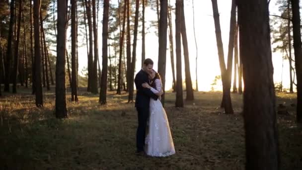 Belo casamento ao pôr-do-sol. Noiva e noivo ao pôr do sol — Vídeo de Stock