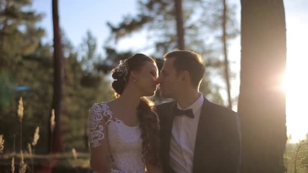 아름다운 선셋 결혼식. 선셋 에 있는 신부와 신랑 — 비디오