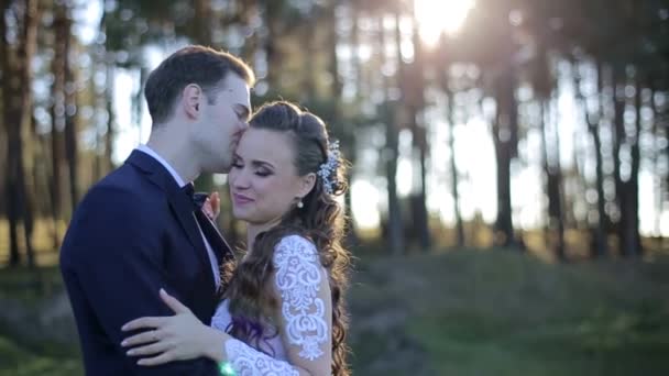 Hermosa boda puesta del sol. Novia y novio al atardecer — Vídeos de Stock