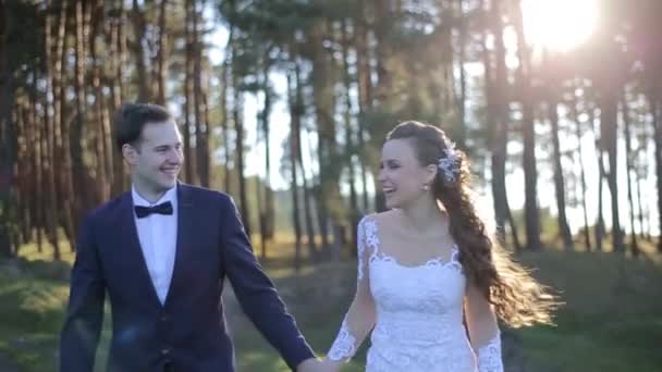 Hermosa boda puesta del sol. Novia y novio al atardecer — Vídeo de stock