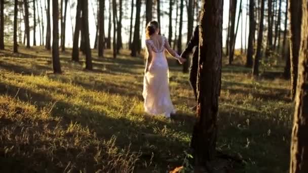 Beautiful Sunset Wedding. Bride and Groom at Sunset — 비디오