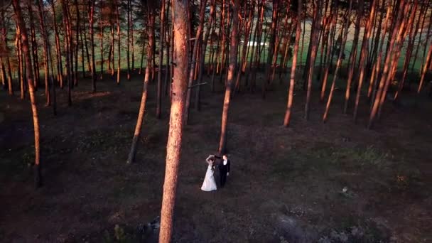 ホバリングのドローンが自然で結婚式のカップルの写真を撮る — ストック動画