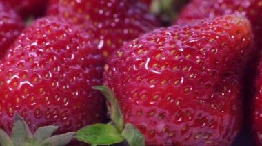 Olgun kırmızı çilek hasadına yakın, çilek rotasyonu. Makro video çilek