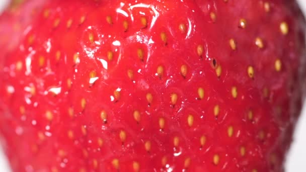 Strawberries in water drops on a white background. Selective focus. — Stock Video