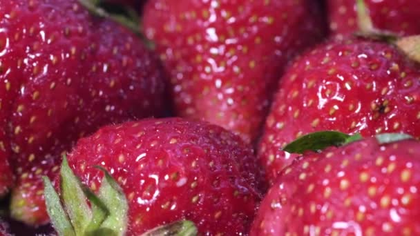 Νόστιμες κόκκινες φράουλες, μακροεντολή. Βιολογική βιταμίνη μούρα, φράουλα — Αρχείο Βίντεο