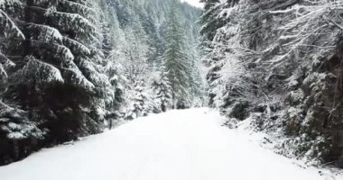 Dağlardaki bir ormanın içinden karlı bir yol geçer. Kamera hareketi düz.