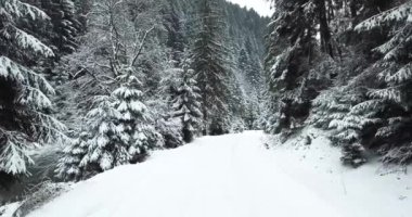 Kışın güzel manzarası. Yoğun karlı orman. Köy yolu var. 