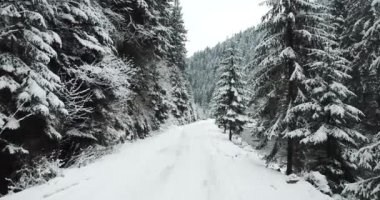 Kaliforniya 'da kış, karlı bir orman ve dağ nehri boyunca bir yol. Sakin bir kış sahnesi.