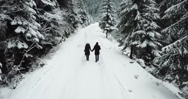Een wandeling van twee verliefde mensen op de weg tussen de hoge kerstbomen bedekt met sneeuw. — Stockvideo