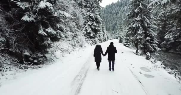 Il vapore del cavalcavia aereo va sulla strada nei boschi durante un inverno nevoso. Coppia felice — Video Stock