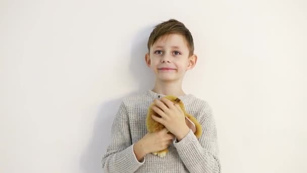 Niño pequeño con un juguete suave sobre un fondo blanco, tiernamente abraza el juguete — Vídeos de Stock