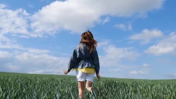 美しい長い髪のブルネットの女の子は緑の小麦畑を渡って走ります 自由の概念 — ストック動画