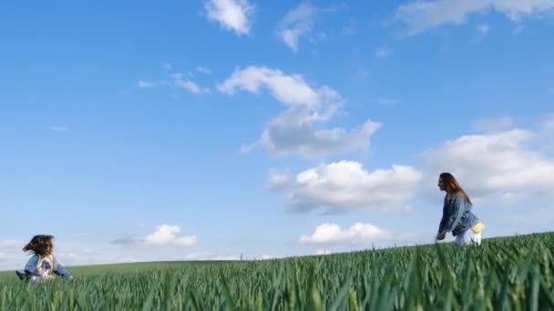 Máma Dcera Chodí Zeleném Poli Mladou Pšenicí Děti Běhají Zelené — Stock video