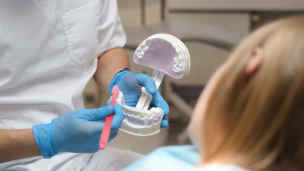 Orthodontiste Dentiste Montre Comment Bien Brosser Les Dents Avec Une — Video