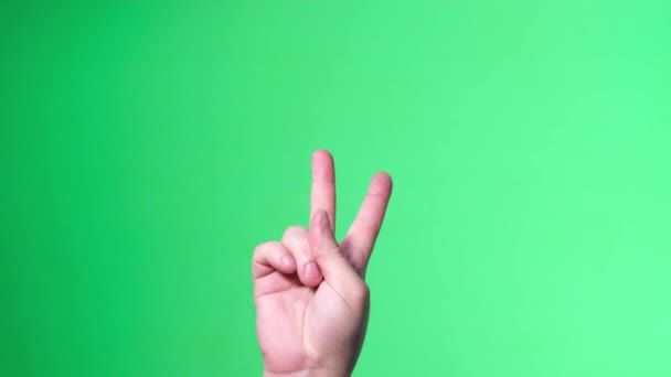 Gesture Victory Male Hand Green Background Color Key Screen Sign — Stockvideo
