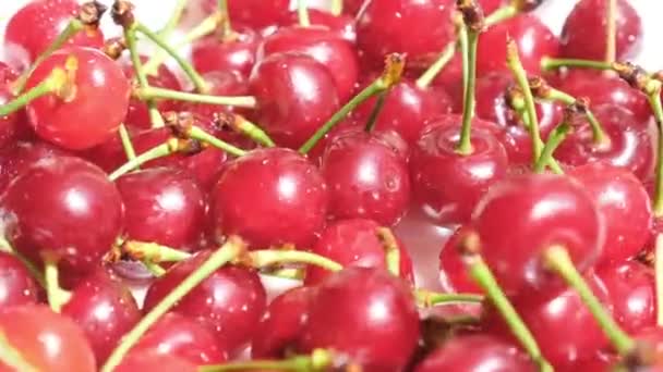 Lots Red Cherries Green Shoots Cherries Fall Plate Cherry Season — Video Stock