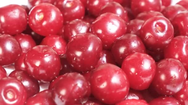 Red Ripe Sweet Cherries Water Drops Cherries Vessel Bowl Healthy — Video Stock