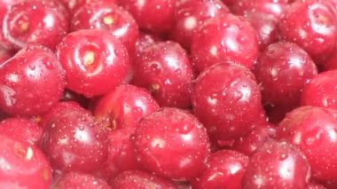 Close up of red ripe and sweet cherries with water drops. Cherries in a vessel, a bowl. Vitamins and minerals.