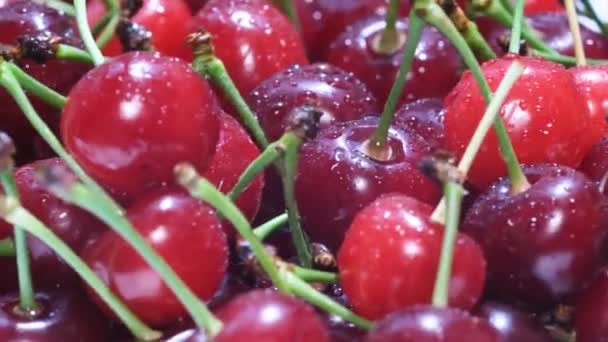 Macro Shot Fresh Juicy Wet Red Cherry Rotation Cherry Berries — Video Stock