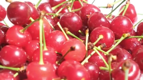 Many Red Cherries Shoots Cherries Fall Plate Cherry Season — Vídeo de stock