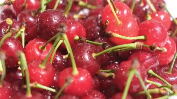 Many Ripe Red Cherries Water Drops Berries Red Vegetarian Food — Video Stock