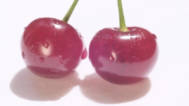 Video Two Red Cherries Appendage White Background Subject Video Shooting — Video Stock
