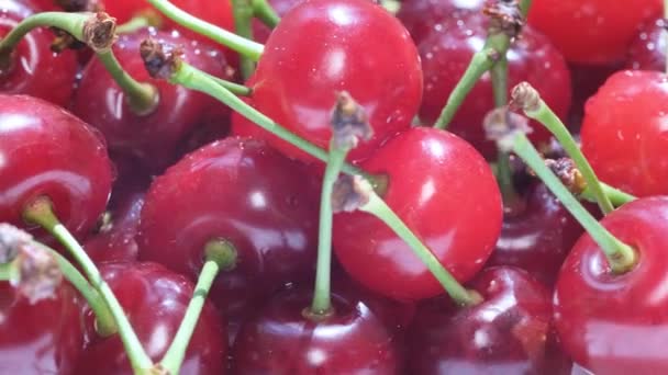 Dark Red Cherry Berry Lots Juicy Berries Sweet Food Fruit — 图库视频影像