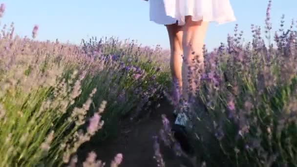 Feet Legs Close Girl Walking Lavender Field Young Woman White — Vídeos de Stock