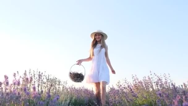 Beautiful Young Girl White Dress Runs Lavender Field Small Wicker — Vídeos de Stock