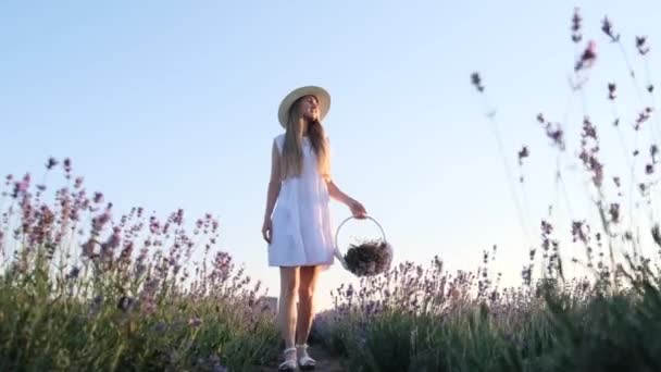 Early Morning Young Girl White Dress Basket Walks Lavender Field — Vídeos de Stock