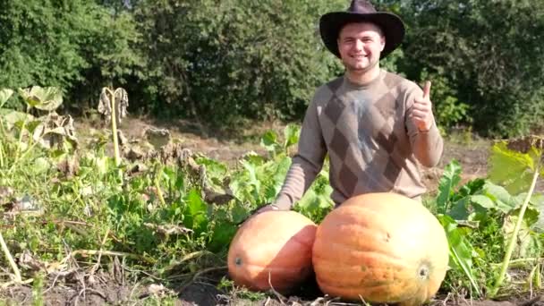 Male Farmer Pumpkin Pumpkin Field Sunset Happy Farmer Countryside Good — Vídeo de Stock