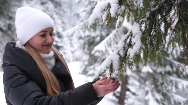 Blond Het Winterbos Inspecteert Besneeuwde Kerstboom Een Vrouw Het Winterbos — Stockvideo